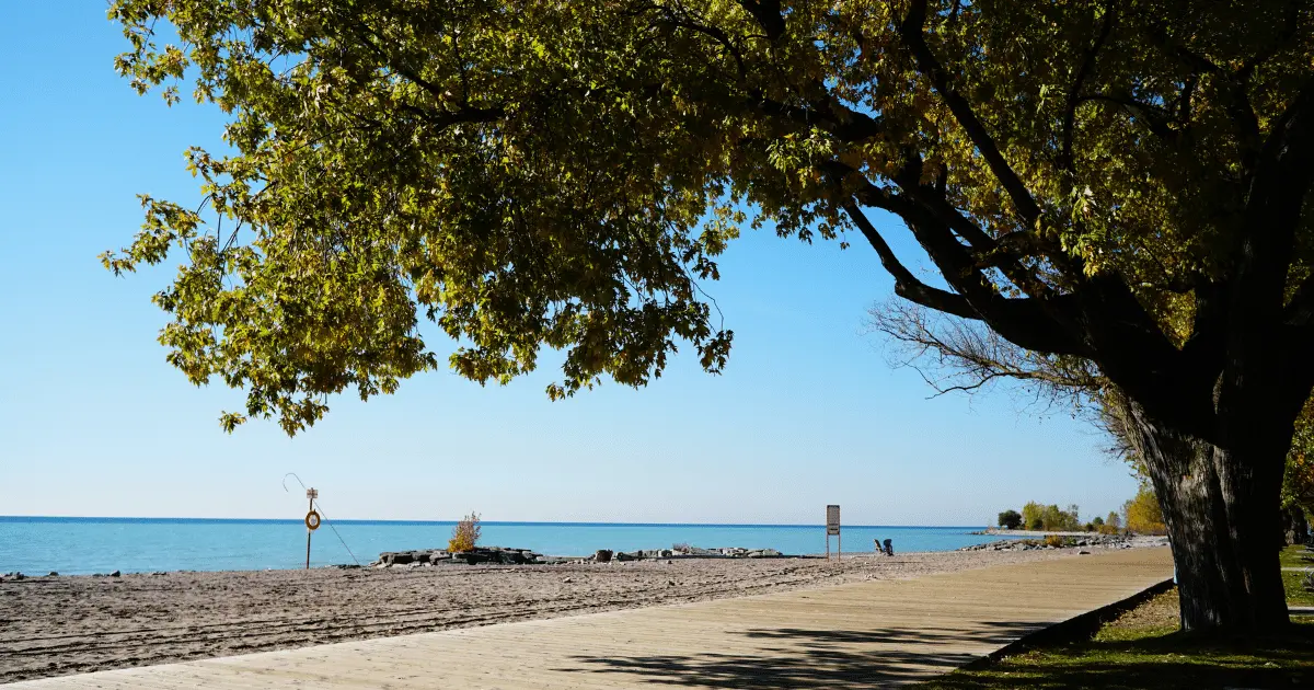 Woodbine Beach