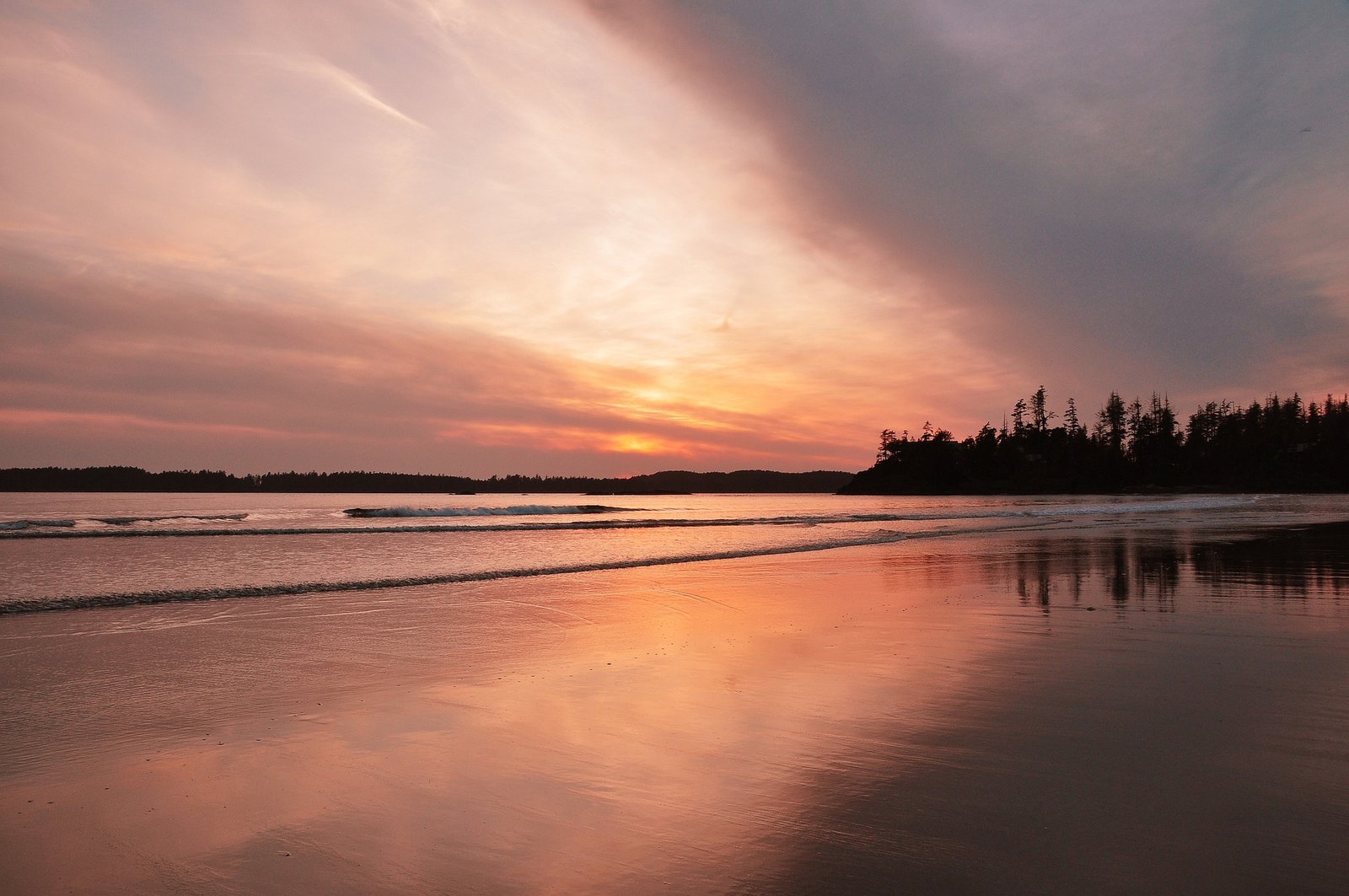 15 Best Things To Do In Tofino