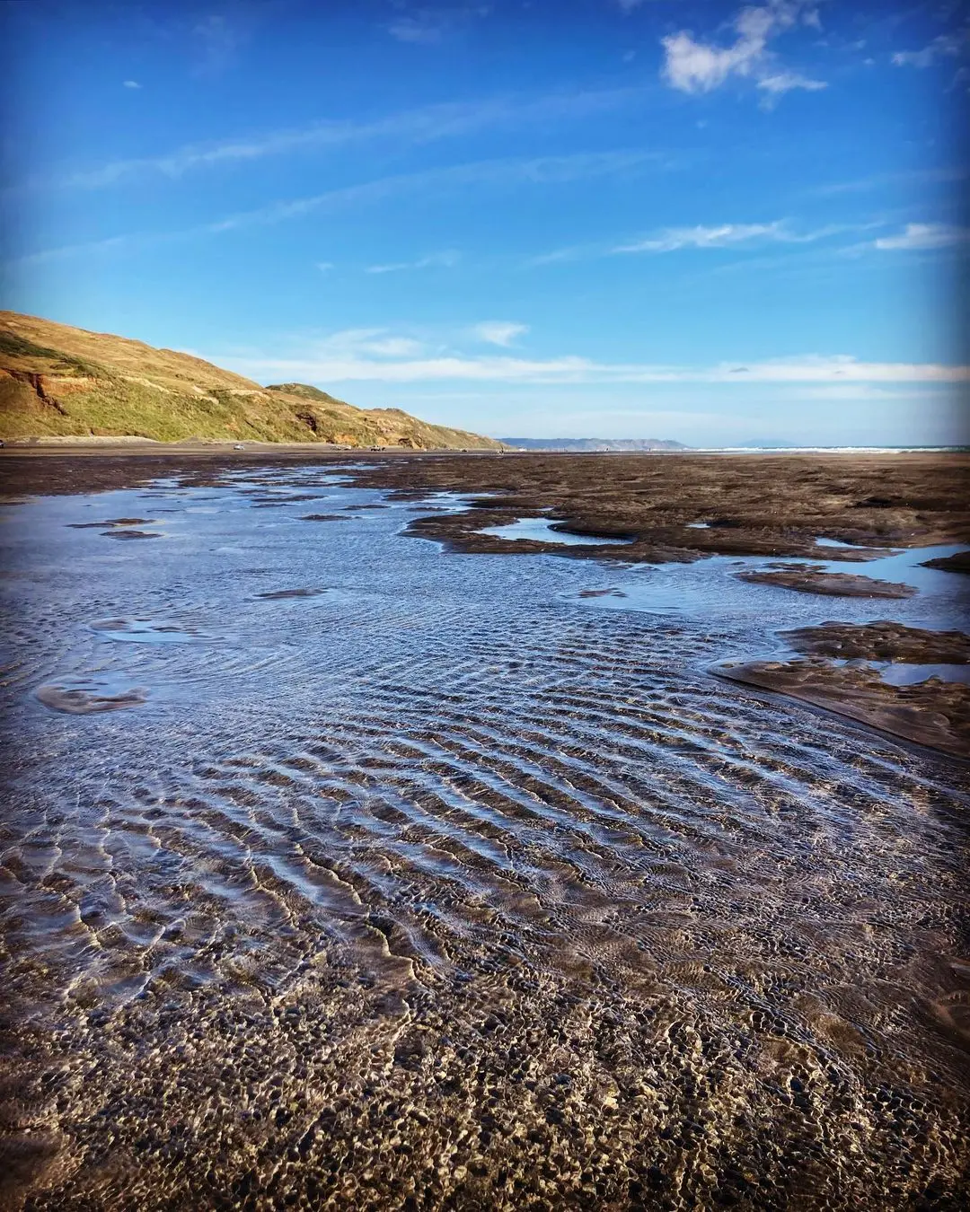 Karioitahi Beach